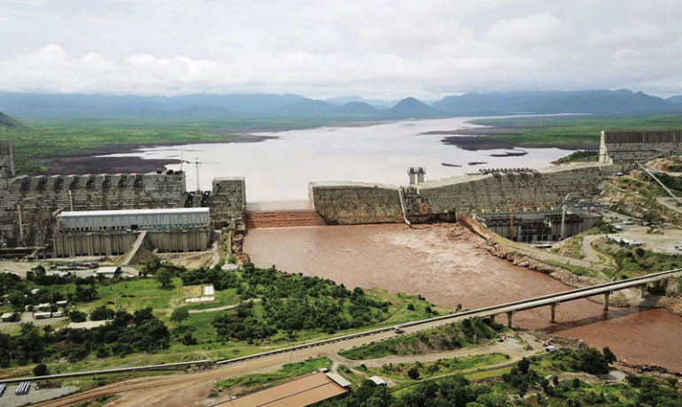 Egyptian, S.African FMs hold talks on Renaissance Dam
